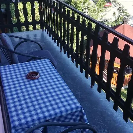 Zoran Zlatibor