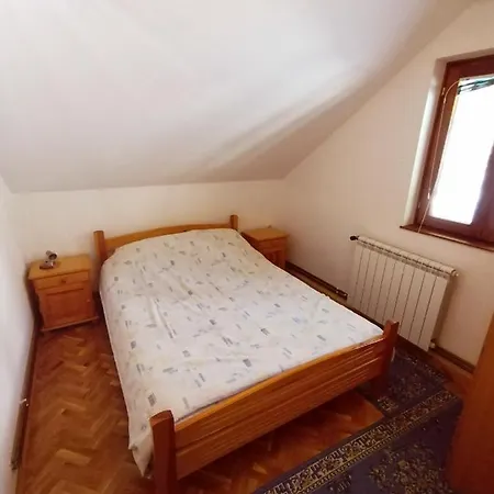 Nina זלאטיבור