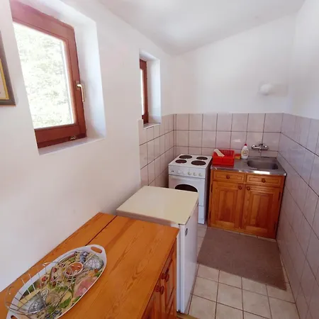 Apartament Zoran *